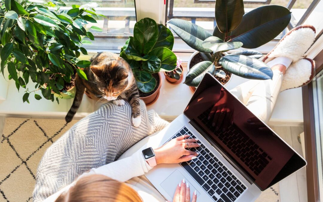 Avis sur les plateformes de freelancing : Upwork vs Fiverr